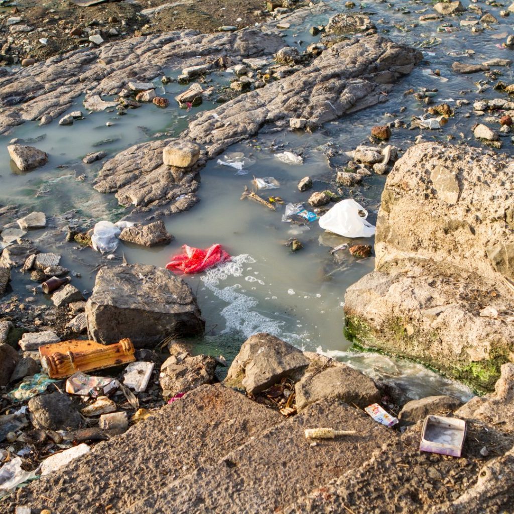 Cancun Lagoon-One of the most polluted in Mexico